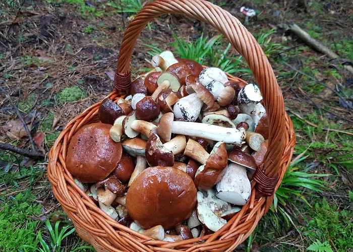 Siedlisko Konradowka